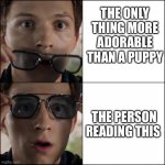 Woah!! | THE ONLY THING MORE ADORABLE THAN A PUPPY; THE PERSON READING THIS | image tagged in spiderman sunglasses,wholesome | made w/ Imgflip meme maker