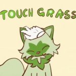Touch Grass meme