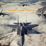 Ace Combat 7 | Polish Lives Matter | image tagged in ace combat 7,polish lives matter | made w/ Imgflip meme maker
