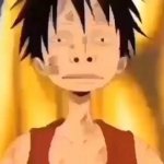 luffy two big nose