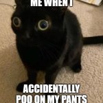 big eye cat | ME WHEN I; ACCIDENTALLY POO ON MY PANTS | image tagged in big eye cat | made w/ Imgflip meme maker