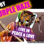 Purple Tiger | TRY; PURPLE HAZE; LIVE IN PEACE & LOVE; MemeMasterMrQs | image tagged in jimi hendrix | made w/ Imgflip meme maker