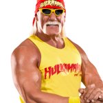 Hulk Hogan Meme Generator - Imgflip