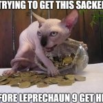 trying to get it | ME TRYING TO GET THIS SACKED UP; BEFORE LEPRECHAUN 9 GET HERE | image tagged in hairless cat hoarding precious coins | made w/ Imgflip meme maker