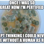 Oh, no, not I, I will survirus | ONCE I WAS SO GREAT NOW I'M PERTIFIED; KEPT THINKING I COULD NEVER LIVE WITHOUT A HUMAN AS RIDE | image tagged in petri dish full,gloria gaynor,i will survive,this is what happens when i do not sleep properly | made w/ Imgflip meme maker