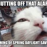 Cat waking up | SHUTTING OFF THAT ALARM; MORNING OF SPRING DAYLIGHT SAVINGS | image tagged in cat waking up | made w/ Imgflip meme maker