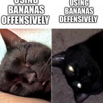 Mario Kart 8 Meme | USING BANANAS OFFENSIVELY; USING BANANAS DEFENSIVELY | image tagged in sleep or awake | made w/ Imgflip meme maker
