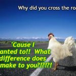 Why the chicken Cross the road | Why did you cross the road? 'Cause I wanted to!!  What difference does it make to you?!?!?! | image tagged in why the chicken cross the road | made w/ Imgflip meme maker