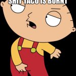 Stewie Griffin Crotch Grab | WHEN MY DOG SHIT TACO IS BURNT | image tagged in stewie griffin crotch grab | made w/ Imgflip meme maker