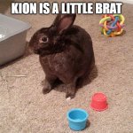 Rabbit with toys | KION IS A LITTLE BRAT | image tagged in rabbit with toys,memes,the lion guard | made w/ Imgflip meme maker