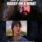 You are wizzard harry | YER A WIZARD HARRY:IM A WHAT; A HARRY POTTER | image tagged in you are wizzard harry | made w/ Imgflip meme maker