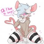 Furry Art