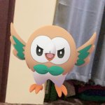 Angry Rowlet