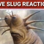 live slug reaction meme
