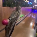 bowling ball goes in other lane GIF Template