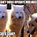 dog jokes | WHY CAN'T DOGS OPERATE MRI MACHINES; BUT CATS CAN? | image tagged in 3 wolves | made w/ Imgflip meme maker