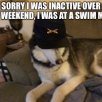 I had a fun time | SORRY I WAS INACTIVE OVER THE WEEKEND, I WAS AT A SWIM MEET | image tagged in union husky,swimming | made w/ Imgflip meme maker