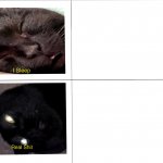 Sleeping Shaq Cat template