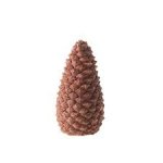 Pine Cone meme