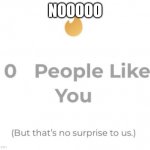 0 people like you | NOOOOO | image tagged in 0 people like you,sad | made w/ Imgflip meme maker