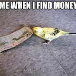 I need my money | ME WHEN I FIND MONEY | image tagged in budgie steals 20 | made w/ Imgflip meme maker
