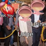 Ur In(e) | Not You; Not You; Not You; Not You; Urine; Urine | image tagged in ur in e,memes | made w/ Imgflip meme maker