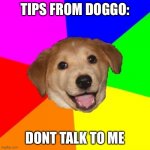 Advice Dog | TIPS FROM DOGGO: DONT TALK TO ME | image tagged in memes,advice dog | made w/ Imgflip meme maker