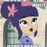 Kids exploring during springtime | FLYING INSECTS; KIDS WHEN THEY GO OUTSIDE IN SPRING FOR THE FIRST TIME; IS THIS A PIGEON? | image tagged in is this a pigeon,memes,strawberry shortcake,strawberry shortcake berry in the big city,spring | made w/ Imgflip meme maker