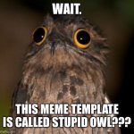 Stupid Owl | WAIT. THIS MEME TEMPLATE IS CALLED STUPID OWL??? | image tagged in stupid owl | made w/ Imgflip meme maker