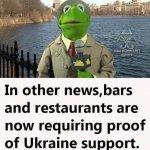 kermit passport