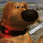 DUG | SQUIRREL!! | image tagged in dug the dog | made w/ Imgflip meme maker