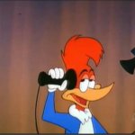 Woodpecker on Telephone