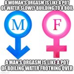 Some women can stay boiling for a while, but most men are stuck on boil from puberty until death | A WOMAN'S ORGASM IS LIKE A POT
OF WATER SLOWLY BUILDING TO A BOIL; A MAN'S ORGASM IS LIKE A POT
OF BOILING WATER FROTHING OVER | image tagged in the difference between men and women | made w/ Imgflip meme maker