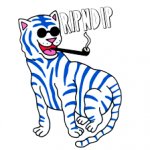 ripndip