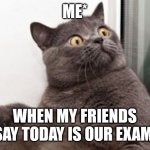 The moment when you realise.... Exams are in a month | ME*; WHEN MY FRIENDS SAY TODAY IS OUR EXAM | image tagged in the moment when you realise exams are in a month | made w/ Imgflip meme maker