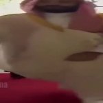 Wide Arabic sheikh meme