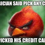 Not gonna have a buck on it anyways | MAGICIAN SAID PICK ANY CARD; I PICKED HIS CREDIT CARD | image tagged in realistic red angry birds | made w/ Imgflip meme maker