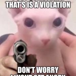 Bingus | POST SOMETHING THAT'S IS A VIOLATION; DON'T WORRY I WONT GET ANGRY | image tagged in bingus | made w/ Imgflip meme maker