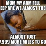 burrito cat | MOM MY ARM FELL ASLEEP ARE WE ALMOST THERE? ALMOST JUST 7,999 MORE MILES TO GO. | image tagged in burrito cat | made w/ Imgflip meme maker