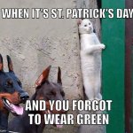 Hide it's St Patricks Day | WHEN IT'S ST. PATRICK'S DAY AND YOU FORGOT TO WEAR GREEN | image tagged in hidden cat,st patricks day | made w/ Imgflip meme maker