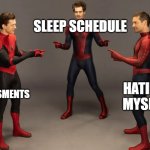 im so tired | SLEEP SCHEDULE; ASSESSMENTS; HATING MYSELF | image tagged in nwh spiderman meme | made w/ Imgflip meme maker