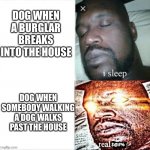 *barking intensifies* | DOG WHEN A BURGLAR BREAKS INTO THE HOUSE; DOG WHEN SOMEBODY WALKING A DOG WALKS PAST THE HOUSE | image tagged in sleeping shaq,memes,dogs,barking,dog walking,house | made w/ Imgflip meme maker