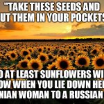 Field of Sunflowers | "TAKE THESE SEEDS AND PUT THEM IN YOUR POCKETS, SO AT LEAST SUNFLOWERS WILL GROW WHEN YOU LIE DOWN HERE." - UKRAINIAN WOMAN TO A RUSSIAN SOLDER | image tagged in field of sunflowers | made w/ Imgflip meme maker