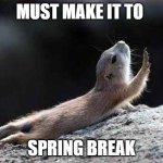 go on without me squirrel | MUST MAKE IT TO; SPRING BREAK | image tagged in go on without me squirrel | made w/ Imgflip meme maker
