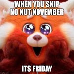 Lol | WHEN YOU SKIP NO NUT NOVEMBER; ITS FRIDAY | image tagged in red panda cute eyes | made w/ Imgflip meme maker