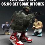 Why Don't You CS:GO Get Some Female Companions meme