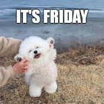 Happy Friday dog | IT'S FRIDAY | image tagged in happy dog,yay it's friday | made w/ Imgflip meme maker