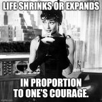 Liquid courage | LIFE SHRINKS OR EXPANDS; IN PROPORTION TO ONE’S COURAGE. | image tagged in audrey hepburn cocktail dress in sabrina,life advice,life problems,courage,cocktail | made w/ Imgflip meme maker