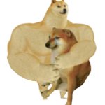 Buff Doge hugs cheems transparent