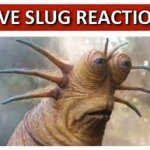Live Slug Reaction